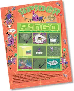 Spider Bingo