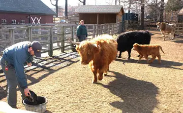 animal training at staten island zoo