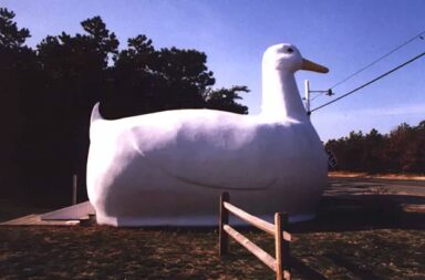 the-big-duck