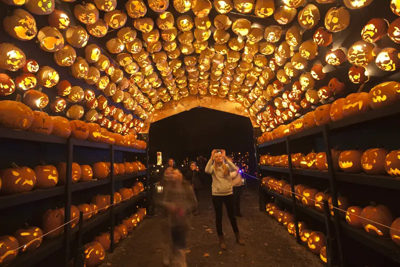 jack o lantern blaze westchester