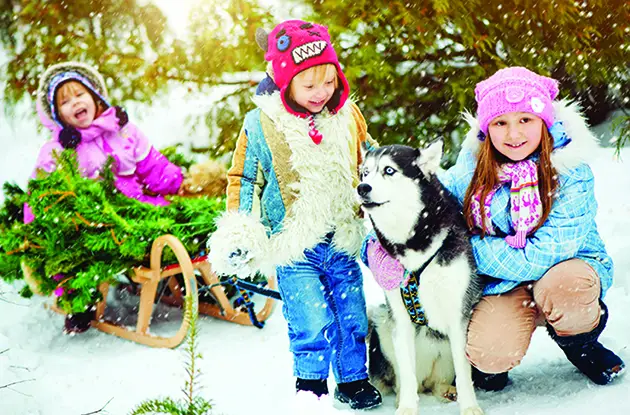 three children with dog christmas trees