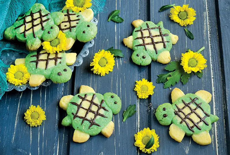 turtle cookies