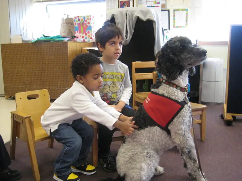 variety child learning center students with service dog