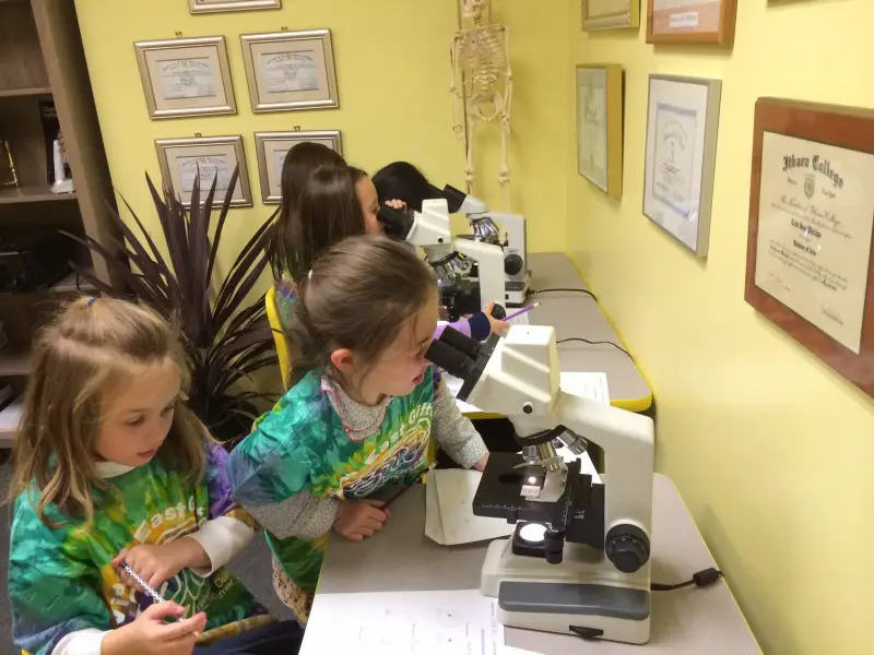 young students using microscopes at Village East Gifted