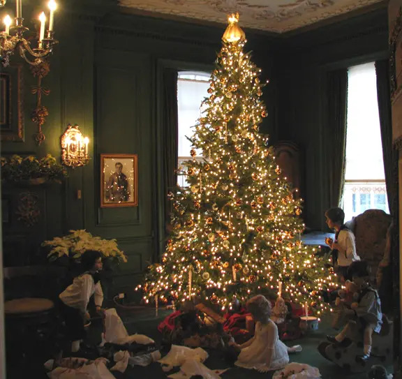 christmas tree at westbury house