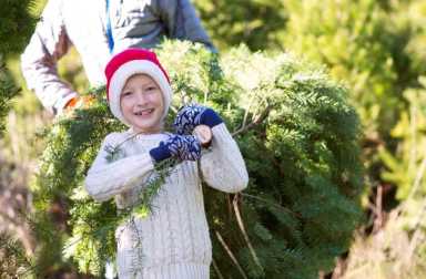 westchester-christmas-tree-farm