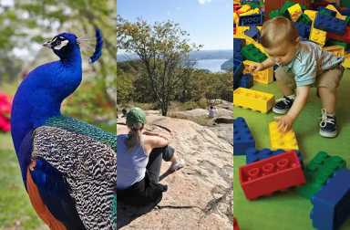 westchester-rockland-fairfield-bucket-list