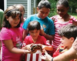 Turtle monitoring at Westmoreland Sanctuary