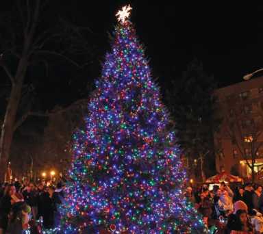 white-plains-tree-lighting