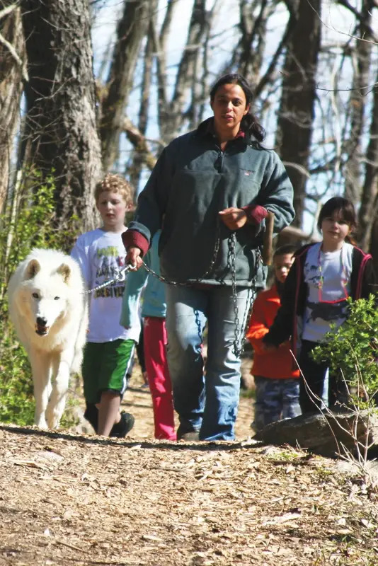 hike with wolves