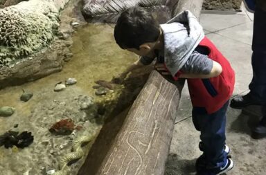 young-boy-at-aquarium