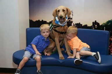 young-twin-boys-with-service-dog
