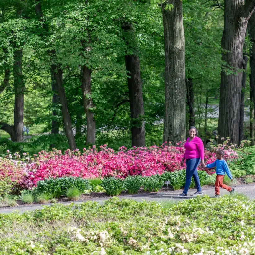 8 Botanical Gardens in New York City and on Long Island