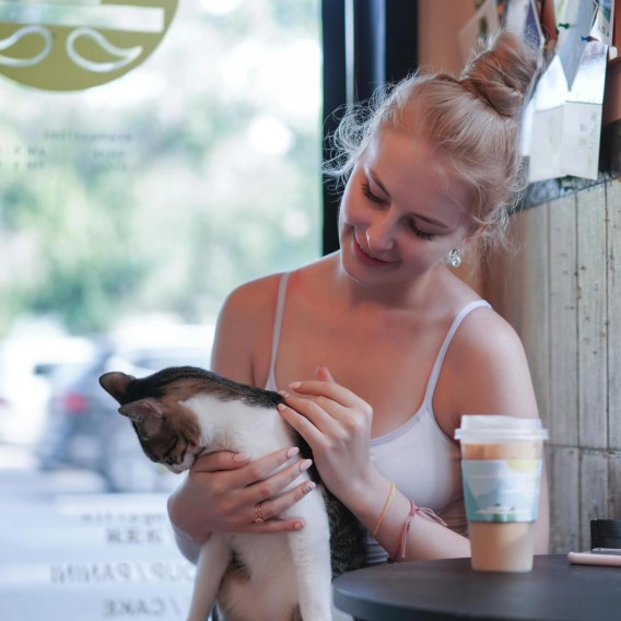 Amazing Cat Cafés in NYC and Long Island You Should Check Out