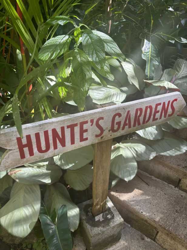 Hunte's Gardens