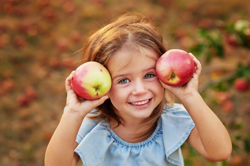 16 Family-Friendly Apple Picking Orchards Near NYC