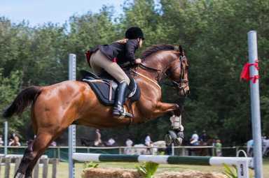 Horseback Riding Lessons in and Around New York City