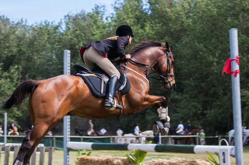 Equestrian rider in helmet and show attire guiding a brown horse mid-jump over an obstacle during an outdoor show jumping competition.