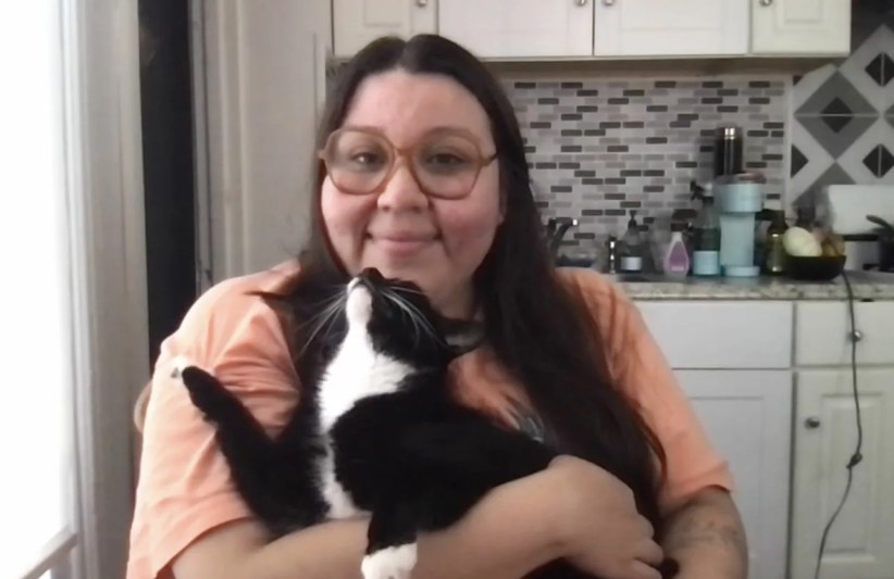cat