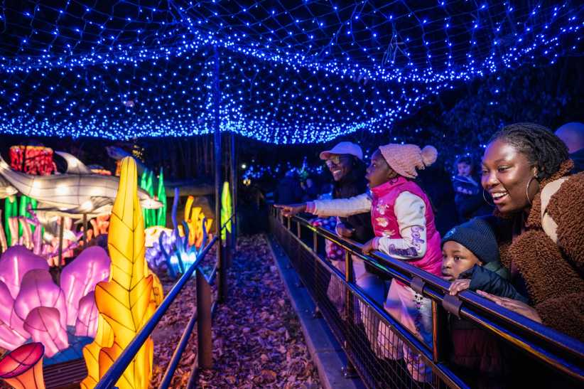 32 Fun Holiday Family Experiences In and Around New York 2025 - New York Family