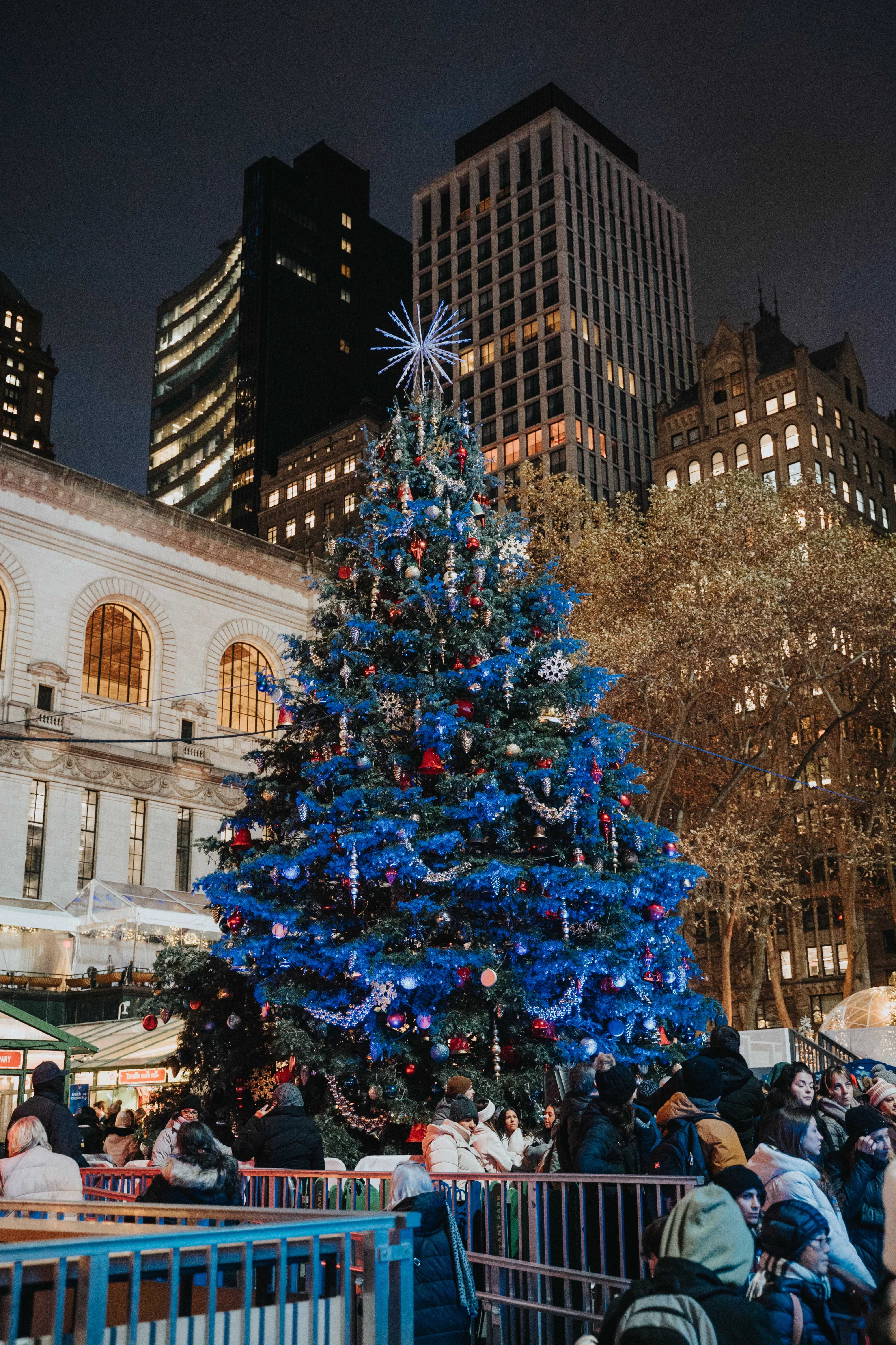 22 NYC Christmas Tree and Holiday Tree Lightings (2025), image size:4000x6000