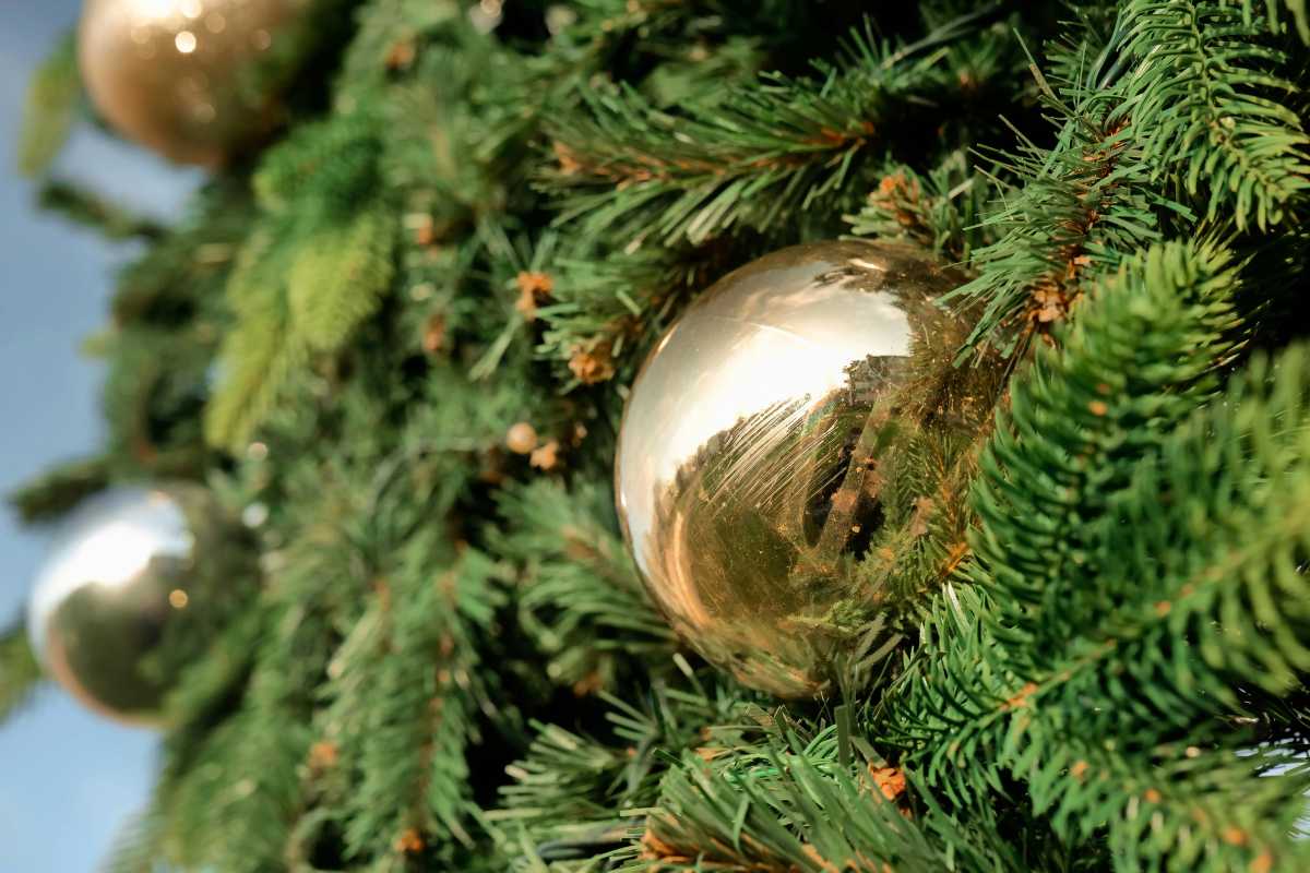 pexels-hyggeligtstudiox-29935182