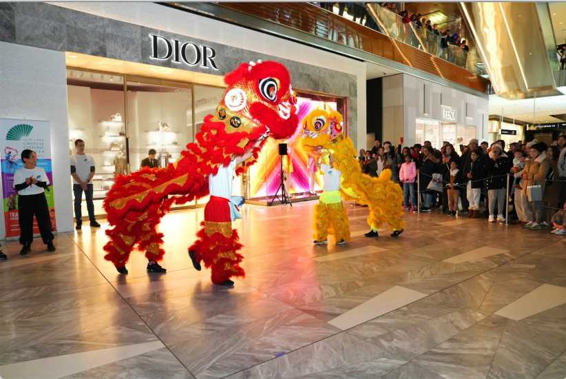 a Yellow and Red dragon performing the lion dance. 
