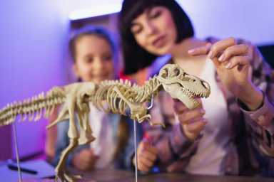 2026 Dinosaur Museum NYC Guide: mom and daughter exploring dinosaur exhibits