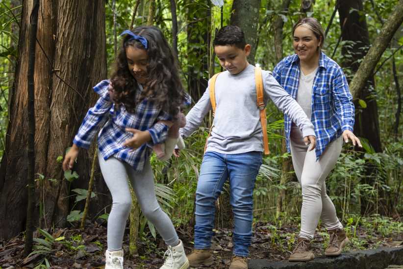 Family walking on hiking trails in the forest, NYC