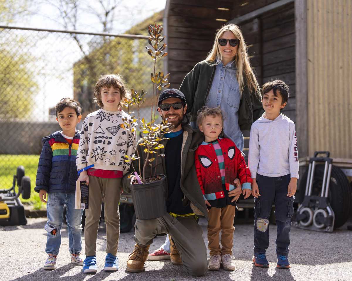 Get a Free Tree in NYC This Spring: 3,750 Trees Up for Grabs