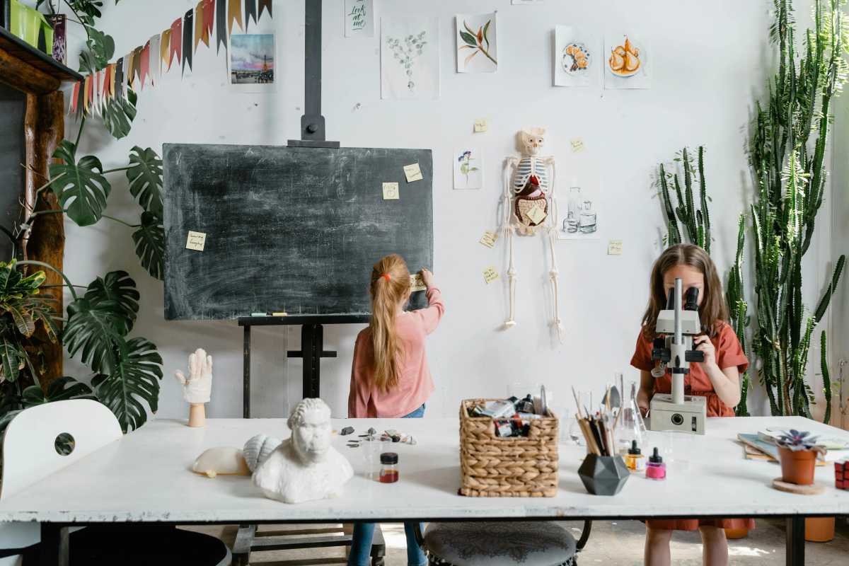 Long Island Academic & STEM Camps