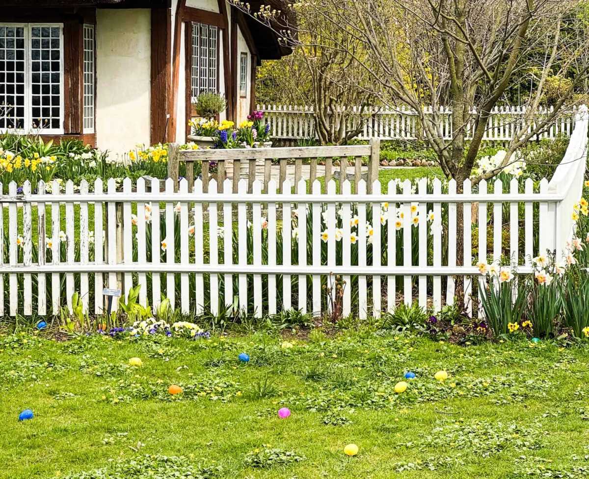 Easter Eggs in a garden waiting to be found