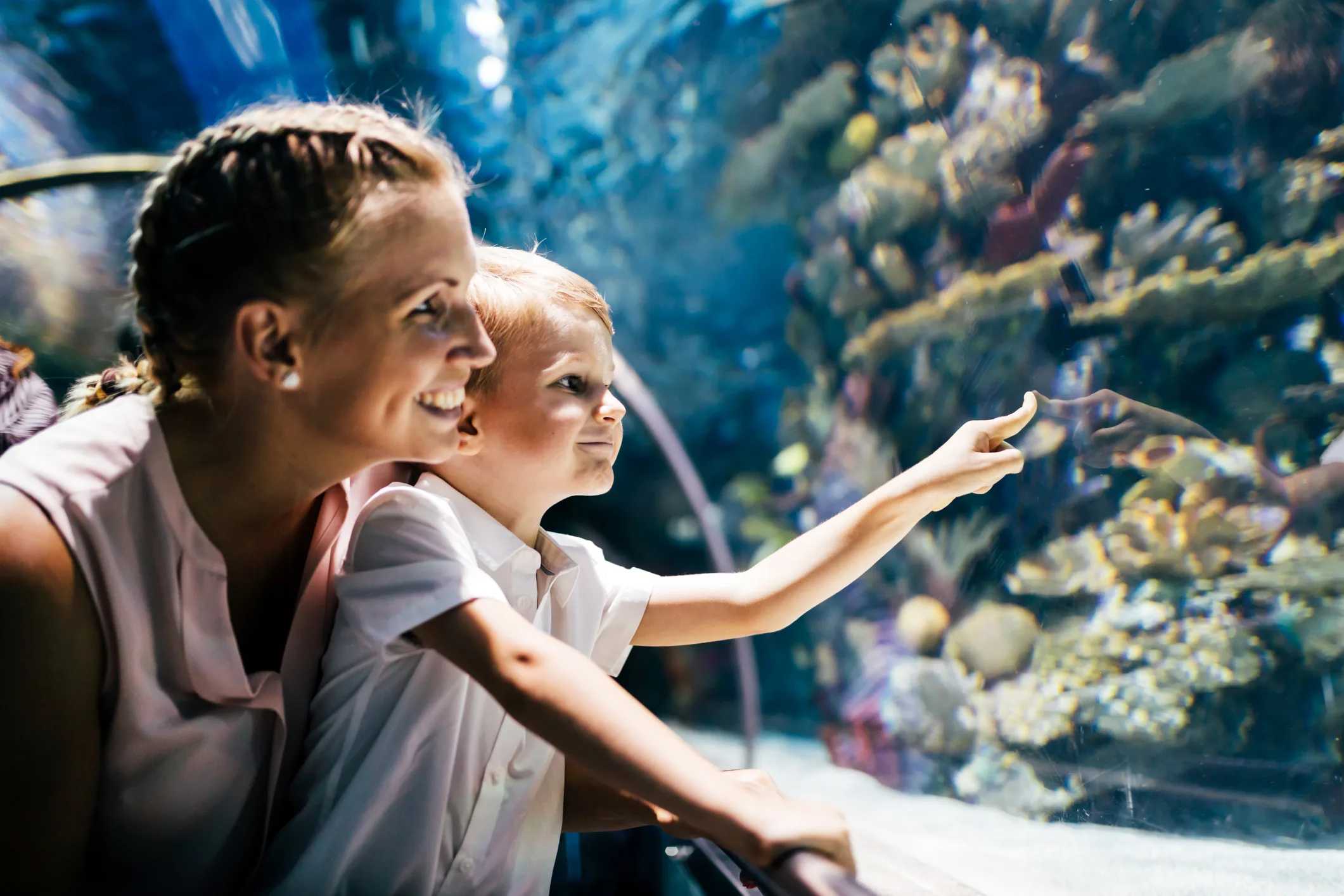 Aquariums Near NYC: Family-Friendly Underwater Adventures Worth the Trip