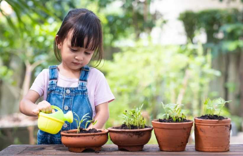 A young child waters small plants in clay pots outdoors, wearing denim overalls and a pink shirt, focused on caring for the seedlings.