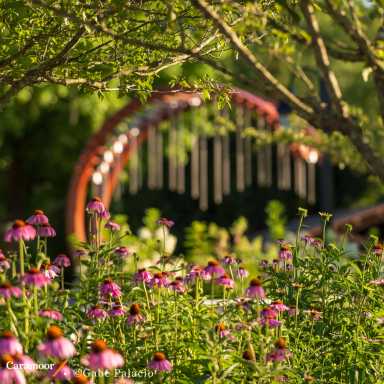 Caramoor