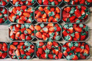 Strawberry Festivals in Westchester
