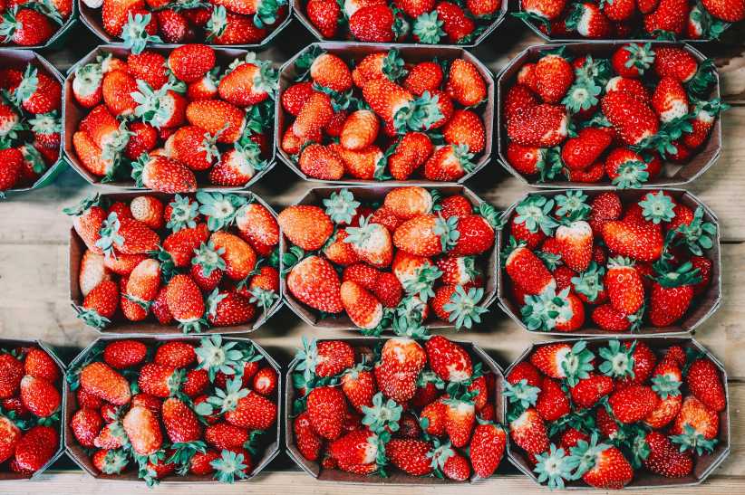 Strawberry Festivals in Westchester