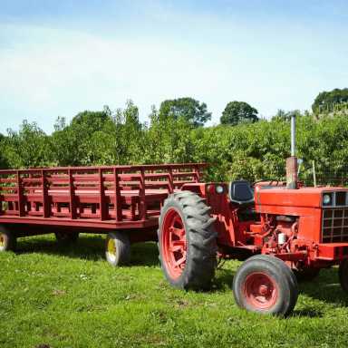 hayrides-westchester