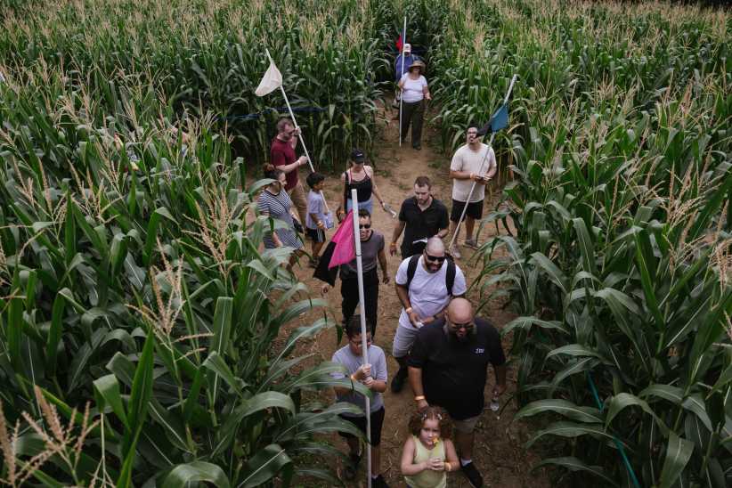 The Amazing Maize Maze Returns to Queens County Farm