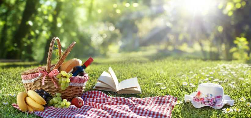Picnic Blanket On Grass With Full Basket