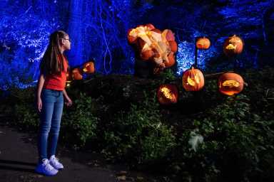 Pumpkin Nights with Visitors