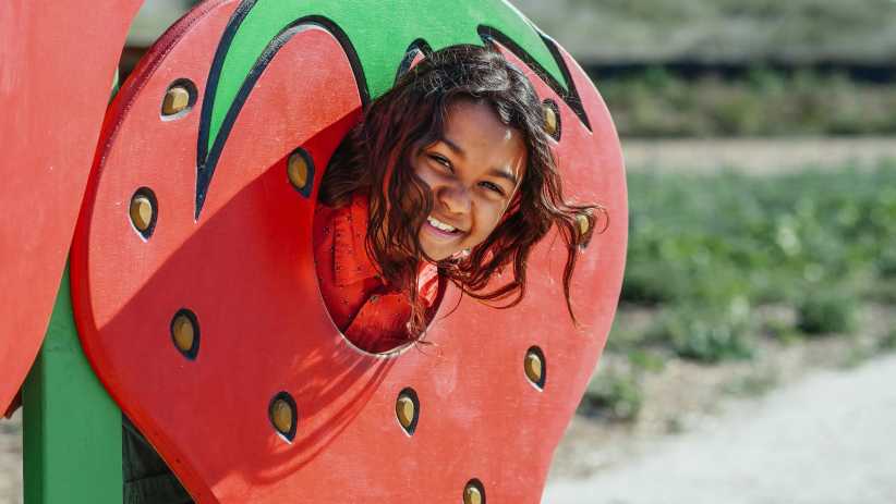 Free Kid and Family Activities in NYC: 10 Free Things to Do This Week - New York Family