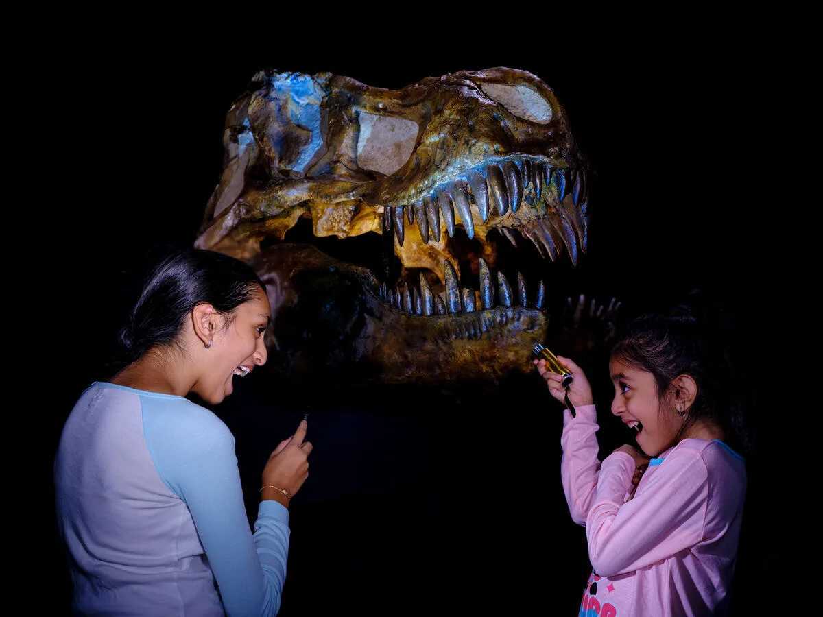 A Night at the Museum Sleepovers Are Back at AMNH After 5 Years! - New York Family