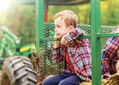 Best Hayrides on or Near Long Island to Visit This Autumn