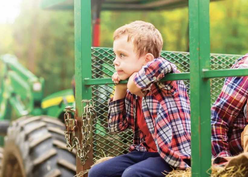 Best Hayrides on or Near Long Island to Visit This Autumn