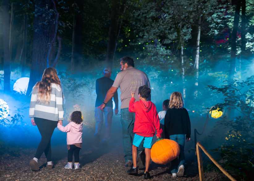 Mystic Moon at Harvest Moon Farm: A Family-Friendly Halloween Walk in North Salem