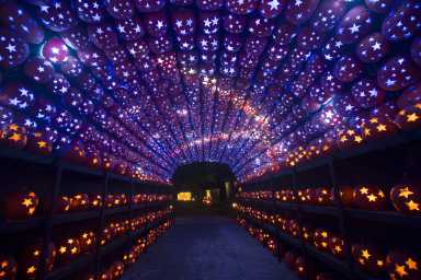 The Great Jack O’Lantern Blaze is Back and Completely Reimagined!