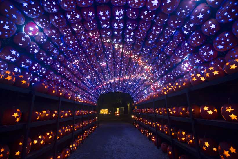 The Great Jack O’Lantern Blaze is Back and Completely Reimagined!