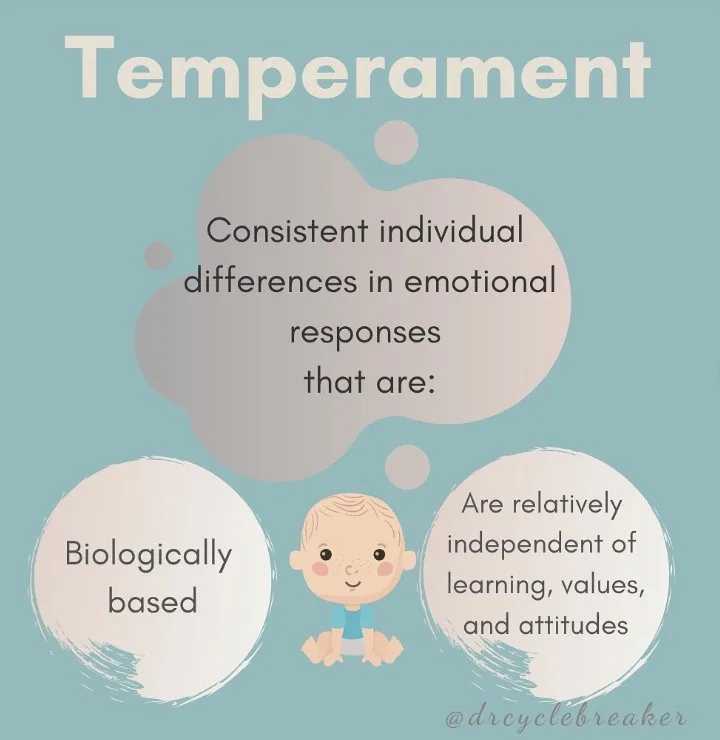 How to Choose the Right After-School Program for Your Child’s Personality