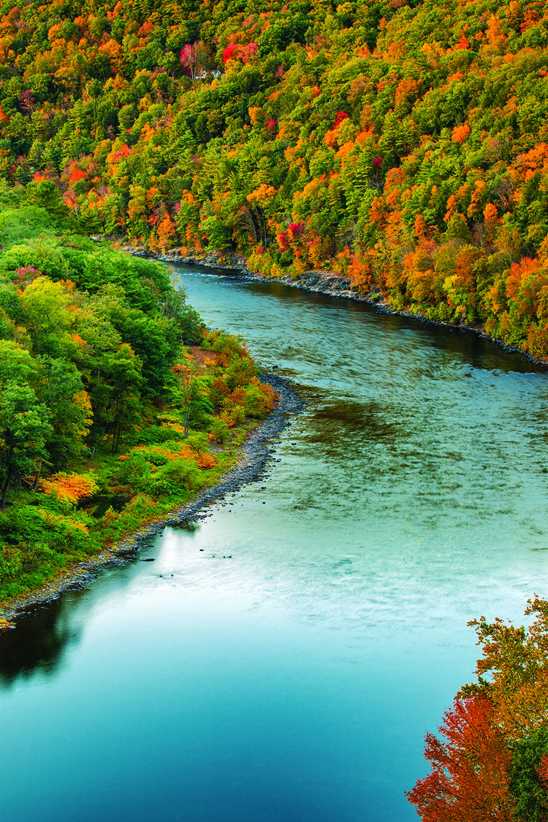 Fall Family Road Trips